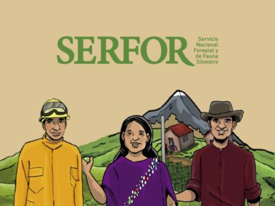 Serfor